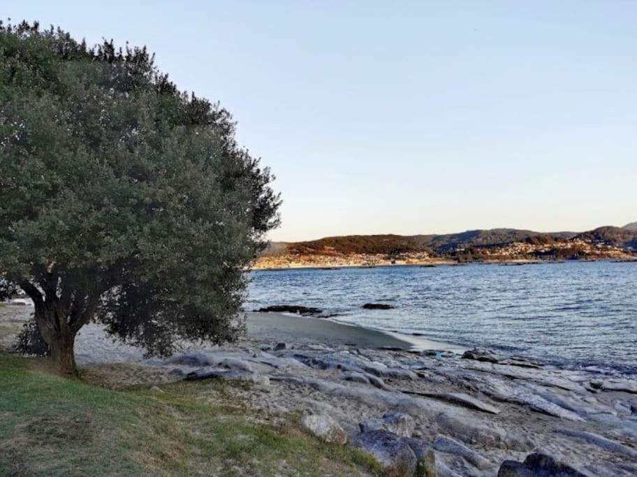 Apartamento Con Jardin Y Piscina Temporada Verano Privados Samieira Екстер'єр фото
