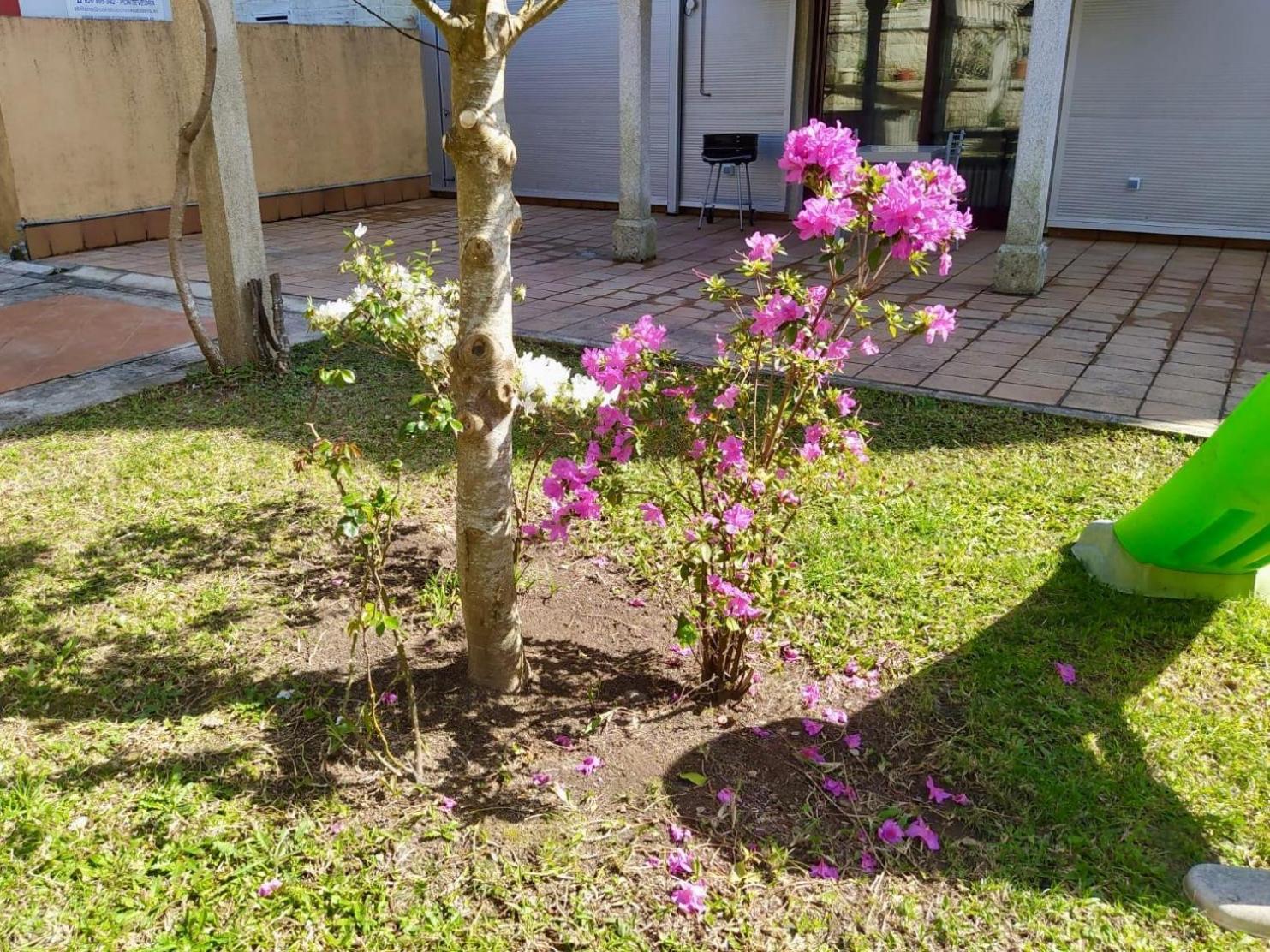 Apartamento Con Jardin Y Piscina Temporada Verano Privados Samieira Екстер'єр фото